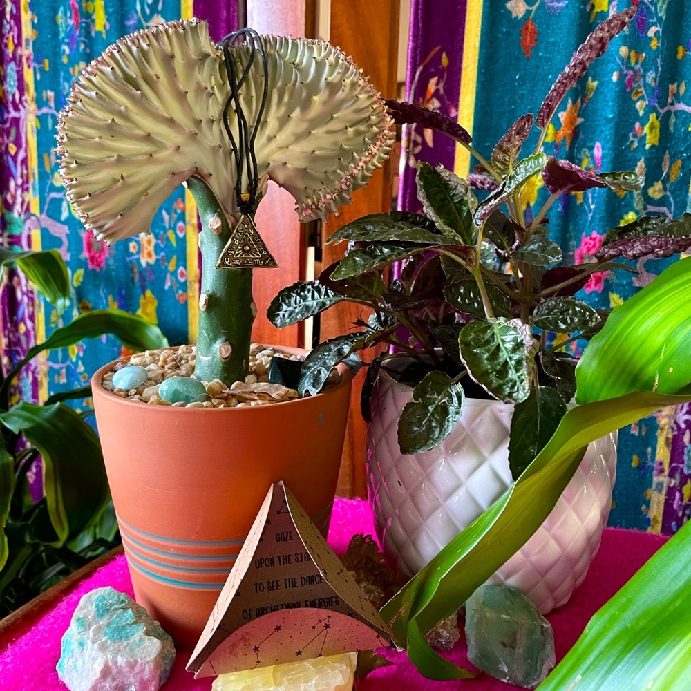 Seed of Creation Zodiac Pyramid Necklace - NWT